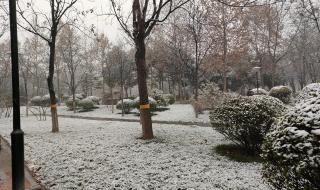 西安解封最新消息